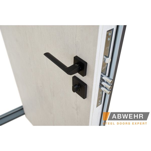 Входные двери Abwehr модель Rail